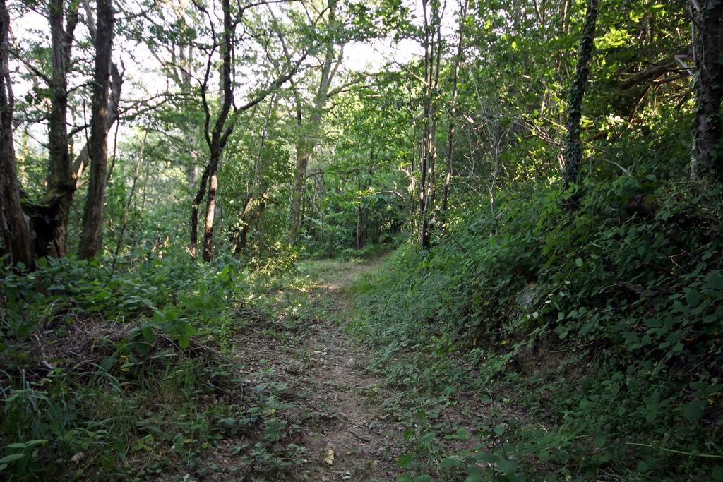 Camping Domaine Vallee Du Tarn Sn Saint-Cirgue Zewnętrze zdjęcie